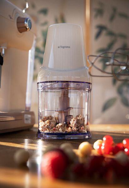 tognana iridea tritatutto 250w - 0.5lt champagne