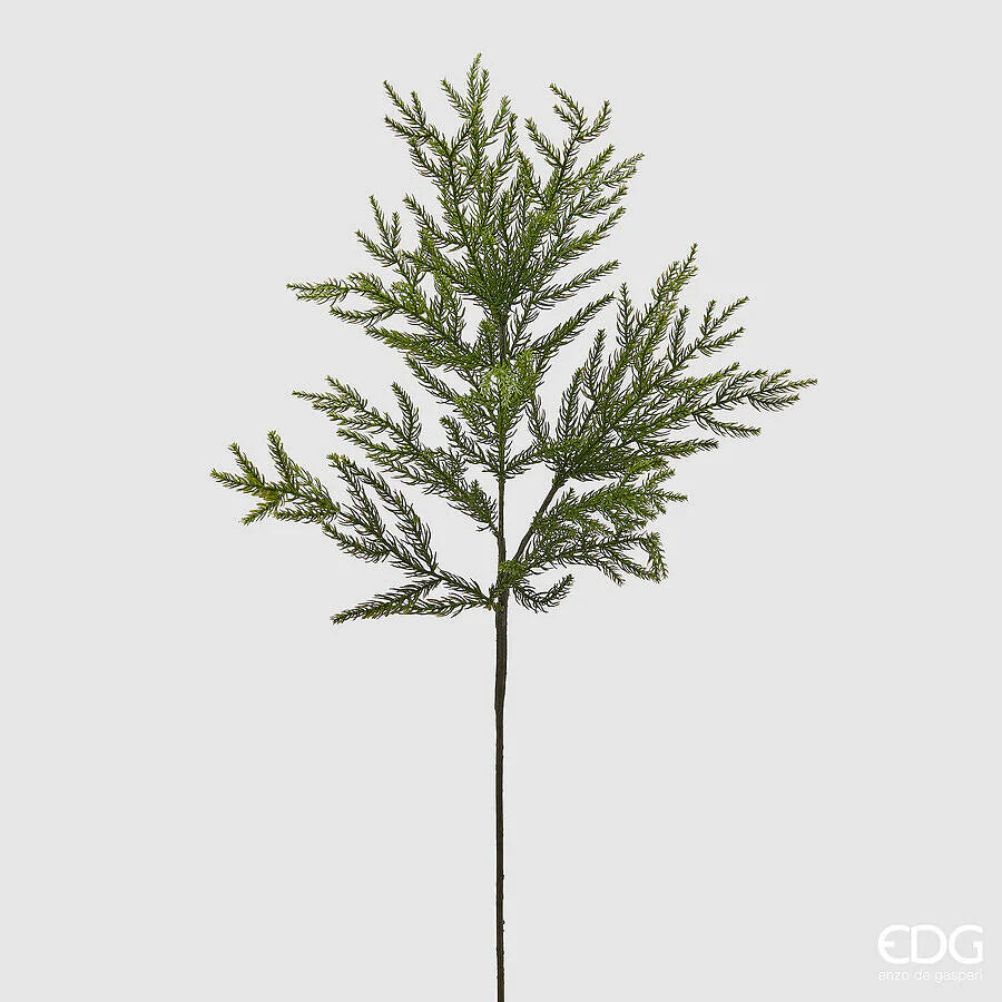 natalizio edg cryptomeria ramo cm 84