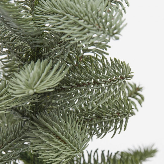 natalizio edg pino nobilis west con vaso in pvc h cm 54