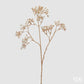 natalizio edg gypsophila stelo colore oro h cm 68